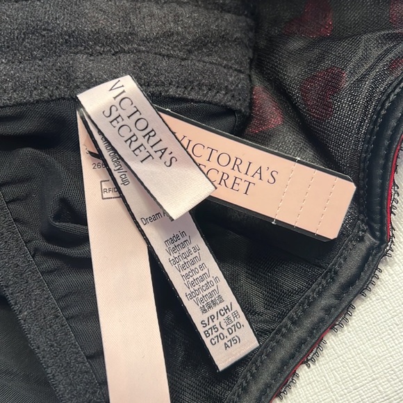 NWT Victoria’s Secret DREAM ANGELS Lightly Lined Heart Embroidery Corset - Picture 7 of 7